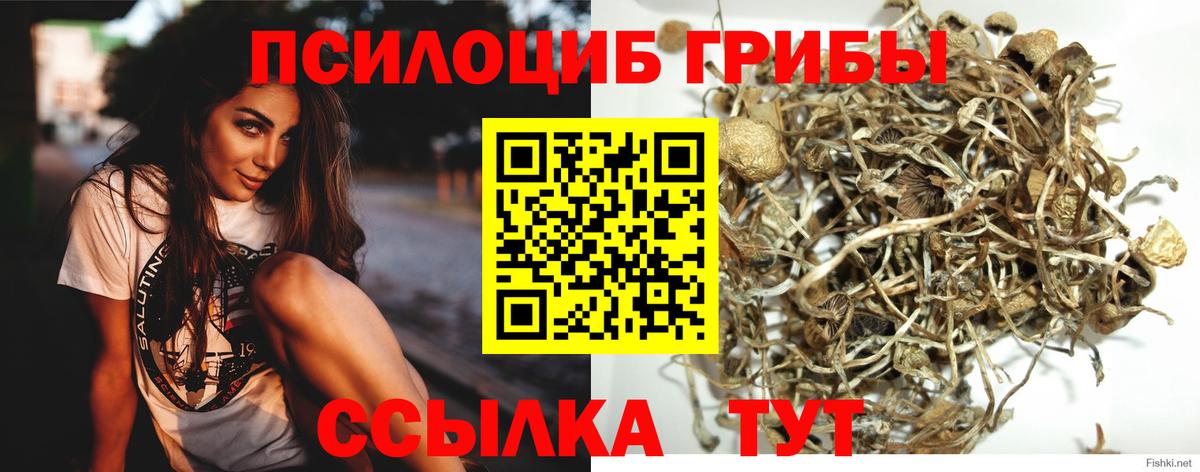 Усолье-Сибирское  Псилоцибиновые грибы мухоморы  Вход с VPN 